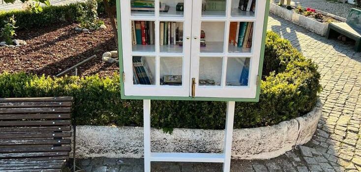 Mini biblioteca comunitária em Medelim