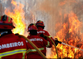 Dois mil fogos rurais sem causa apurada