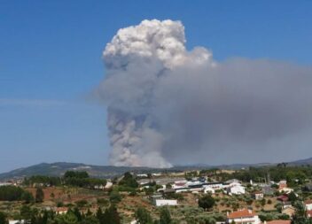 Animais morrem no incêndio em Fundão