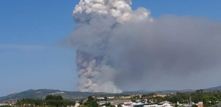 Animais morrem no incêndio em Fundão