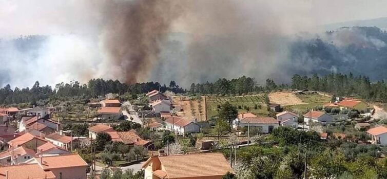 Incêndio em Proença-a-Nova