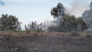 Incêndio florestal no Fundão