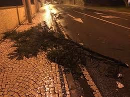 Ocorrências no distrito de Castelo Branco