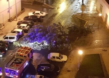 Tempestade Elsa em Castelo Branco