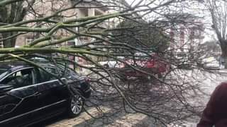 Tempestade Gisele provoca estragos em Castelo Branco