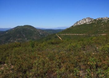 Flora da Serra do Muradal apresentada em livro