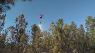 Incêndio em Salgueiro do Campo