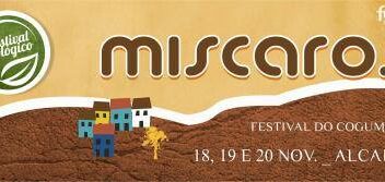 Míscaros – Festival do Cogumelo no Alcaide