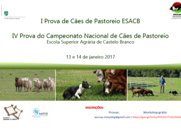 Prova de Cães de Pastoreio da ESACB/IPCB