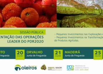 Sessões sobre apoio a Pequenos Investimentos