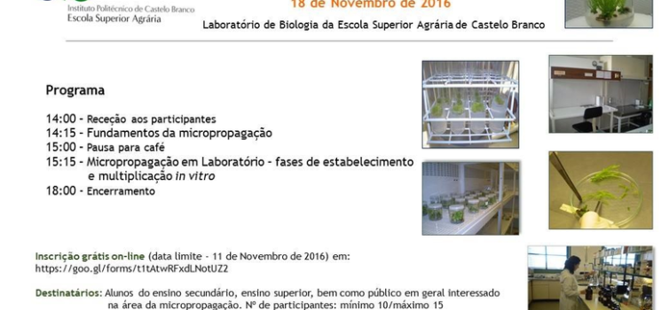 Workshop em "Micropropagação de espécies vegetais"