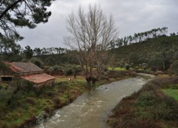 Vila de Rei