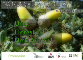 Dia Mundial da Floresta