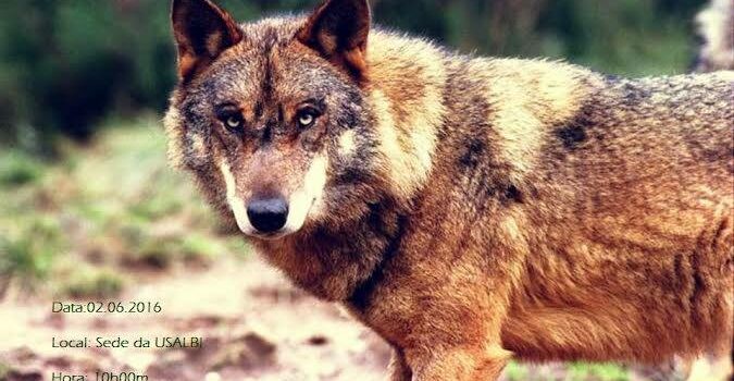 “Era uma vez um Lobo bom”