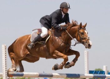 Festival Equestre em Castelo Branco