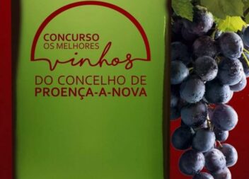 Os melhores vinhos de Proença-a-Nova