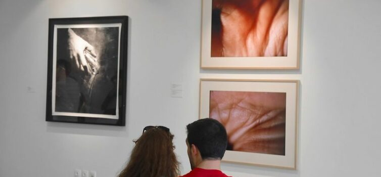 Seguiu-se a visita guiada às 52 obras em exposição com Raquel Guerra, curadora d