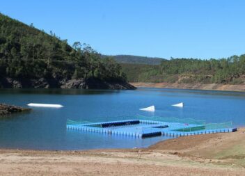 Cable Park já instalado na Praia de Fernandaires