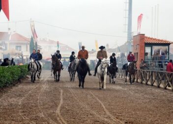 Município de Vila de Rei promove