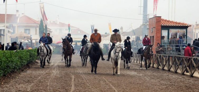 Município de Vila de Rei promove