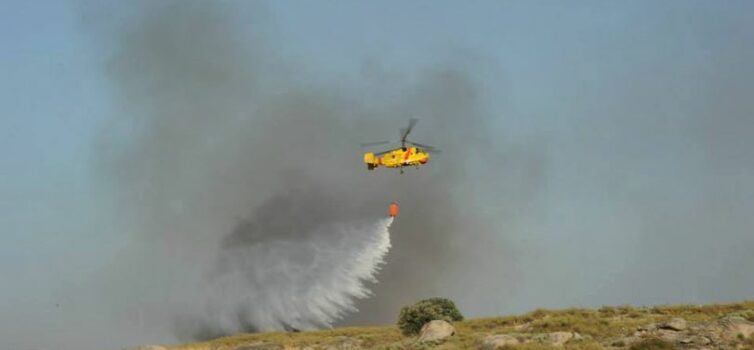 Sete incêndios no distrito todos dominados