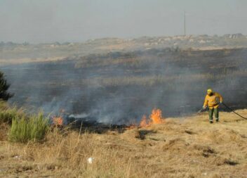 Três incêndios no distrito... todos dominados