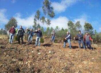 Vila de Rei prossegue com plantação de medronheiros