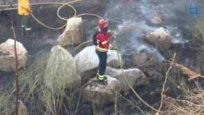 Incêndio próximo de Castelo Branco Um incêndio no mato, no local denominado de S