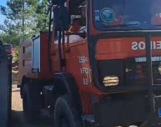 Incêndio lavrou mato em Maxiais