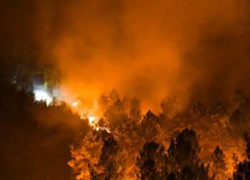 Incêndio em Silvares espera mobilizar 600 operacionais