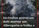 Duas pessoas morreram hoje nos incêndios de Sever do Vouga e Albergaria-a-Velha,