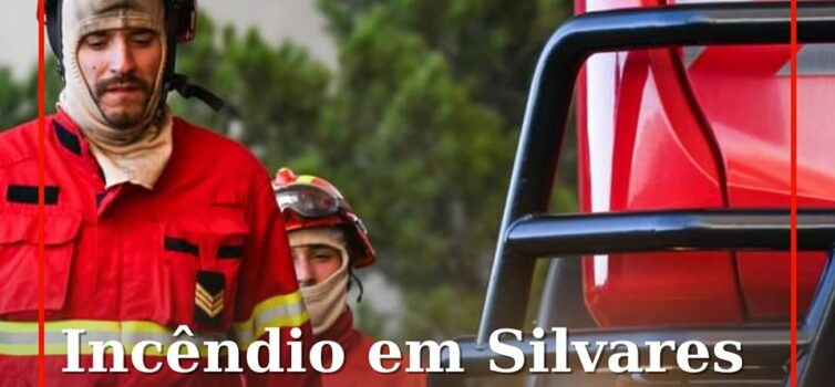 Incêndio no Fundão já não tem frentes ativas