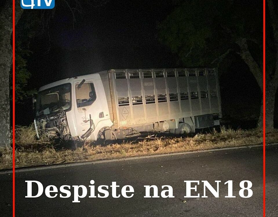 Um veículo pesado de mercadorias despistou-se na EN18, no sentido Lardosa e Alca