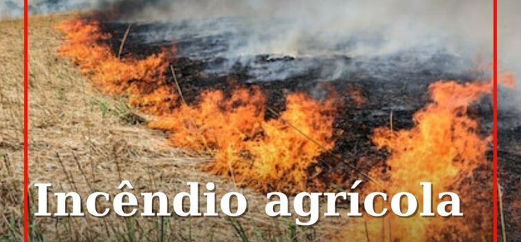 Idanha-a-Nova: um meio aéreo mobilizado para incêndio