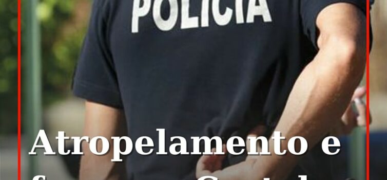 Jovem atropelada em Castelo Branco. Condutor fugiu do local