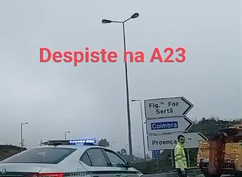 Despiste de viatura ligeira na A23