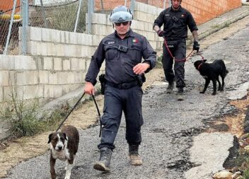 Valência: IRA evacua cães e distribui ajuda humanitária em Valência