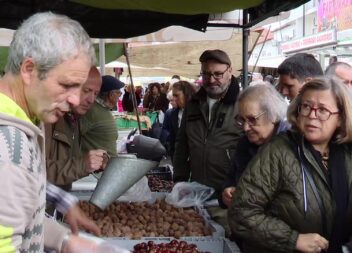 Vila de Alcains recebe Feira dos Santos