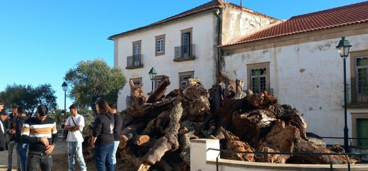 Monforte da Beira já acendeu o Madeiro de Natal