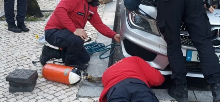 Bombeiros da Covilhã resgatam gato preso no motor de um carro