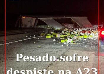 Pesado despista-se na A23