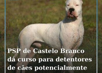 PSP de Castelo Branco promove curso para detentores de cães perigosos