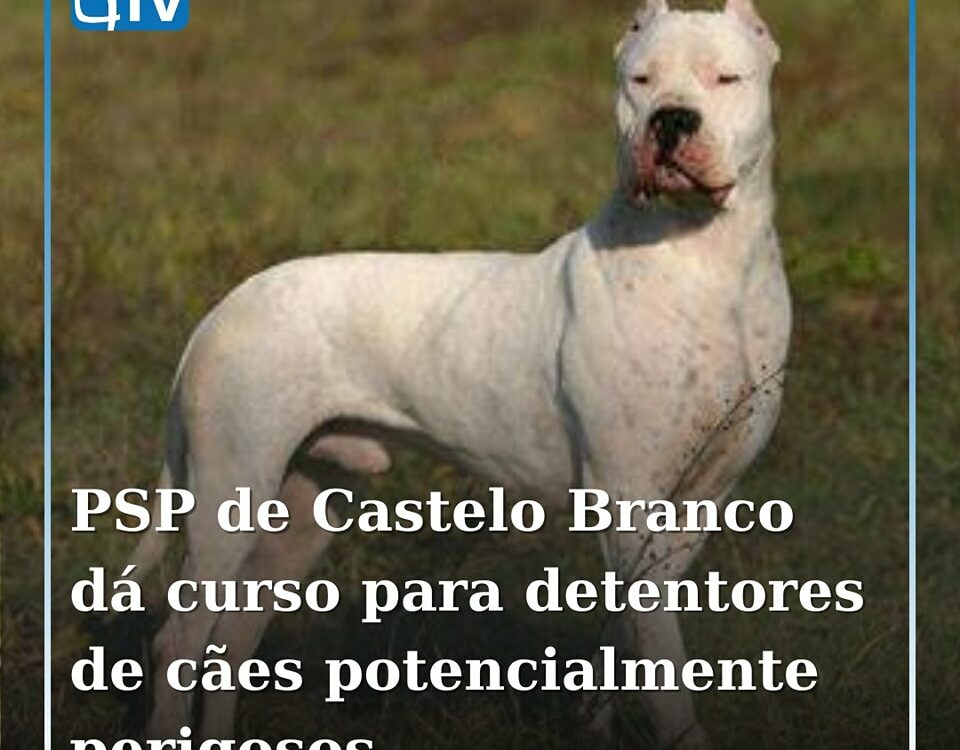 PSP de Castelo Branco promove curso para detentores de cães perigosos