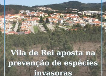 Vila de Rei